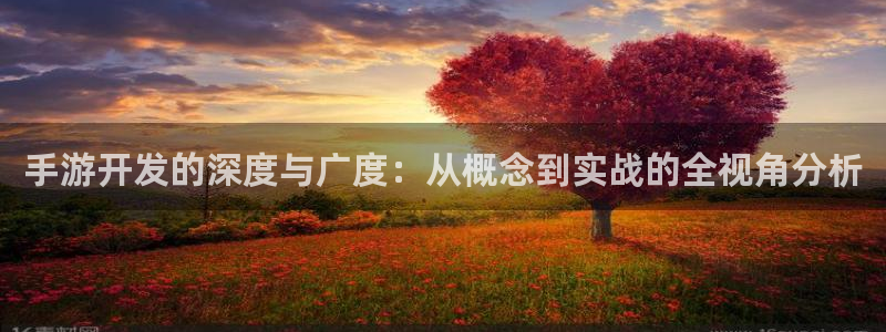 庄闲游戏规则：手游开发的深度与广度：从概念到实战的全视角分析
