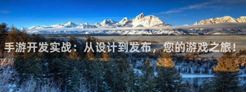 庄闲最科学玩法：手游开发实战：从设计到发布，您的游戏之旅！