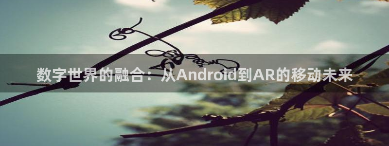庄闲和补牌规则视频：数字世界的融合：从Android到AR的