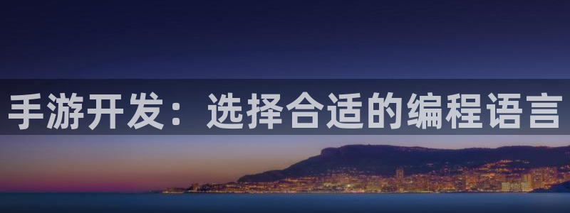 庄闲游戏APP：手游开发：选择合适的编程语言