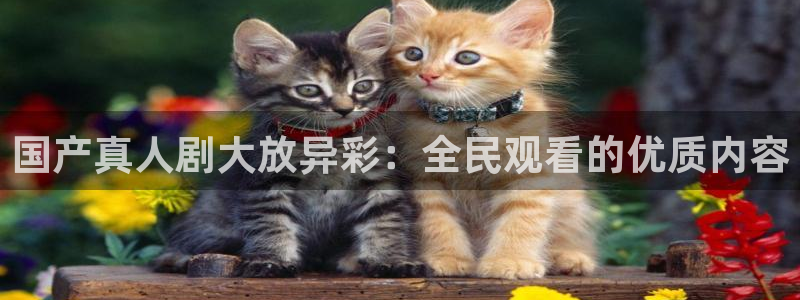 so米体育直播免费下载：国产真人剧大放异彩：全民观看的优质内容