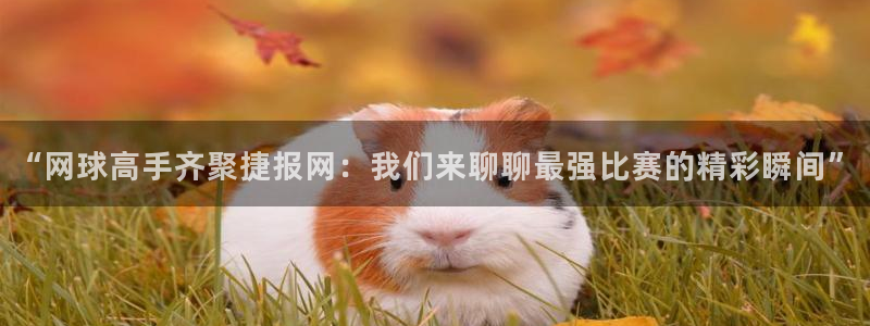 so米nba篮球直播：“网球高手齐聚捷报网：我们来聊聊最强比赛的精彩瞬间”