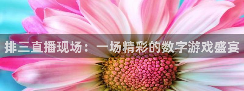 so米比赛直播：排三直播现场：一场精彩的数字游戏盛宴