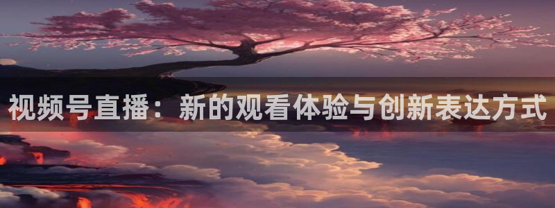 so米直播平台：视频号直播：新的观看体验与创新表达方式