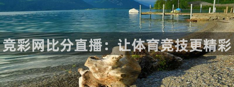 so米足球直播免费观看：竞彩网比分直播：让体育竞技更精彩