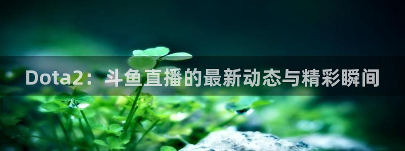 搜米so米体育直播：Dota2：斗鱼直播的最新动态与精彩瞬间