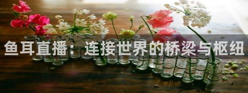 so米足球比赛直播：鱼耳直播：连接世界的桥梁与枢纽