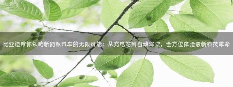 so米体育直：比亚迪带你领略新能源汽车的无限可能：从充电站到自动驾驶，全方位体验最新科技革命